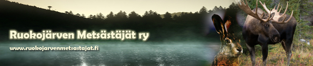 rhy.fi